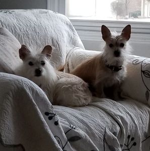 Meet your Posher, Jody